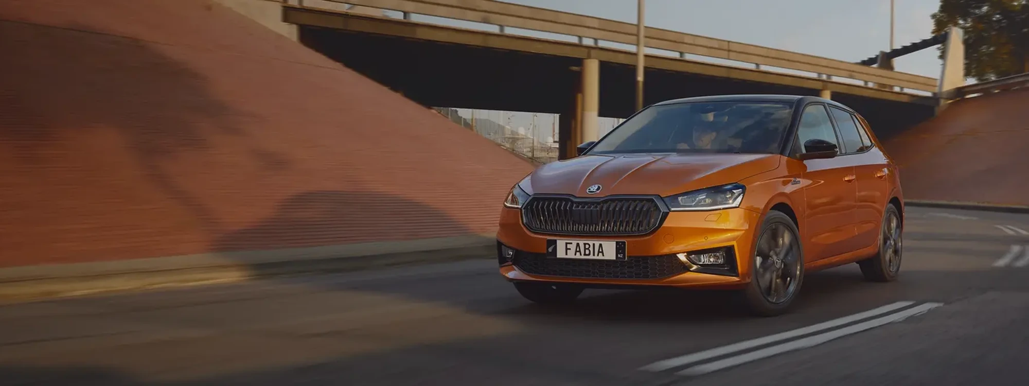 Fabia Wp