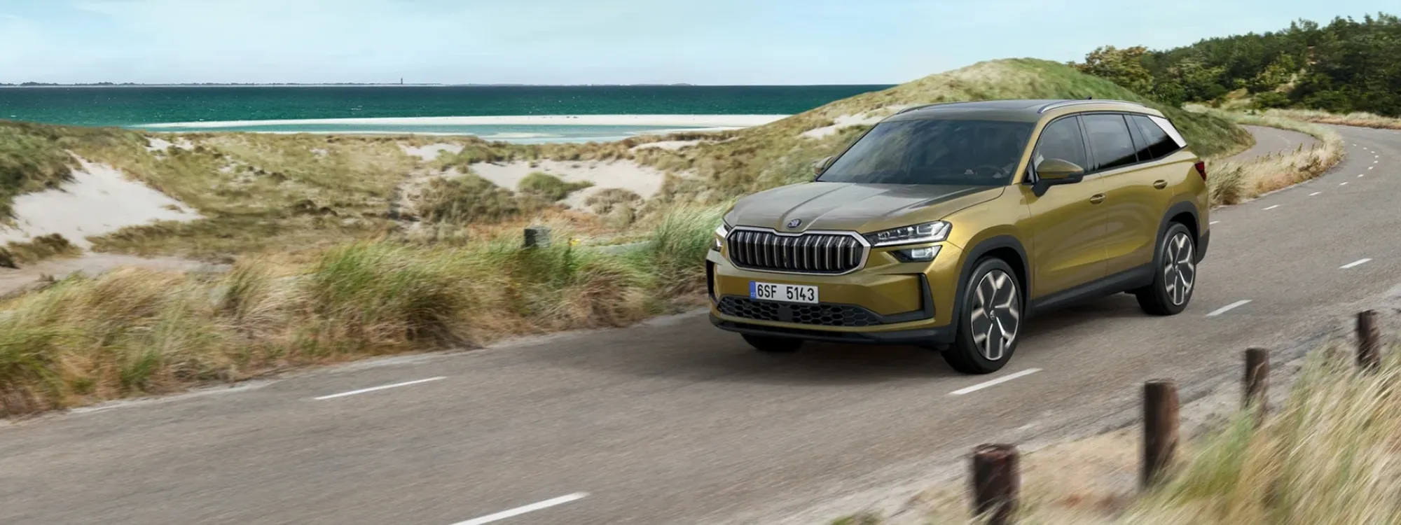 Kodiaq Ryi Hp Wp
